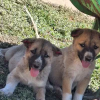 طول سرابی درجه ۱