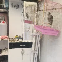 جاکفشی،ام دی اف،معاوضه با کفتر ،جفتگاه