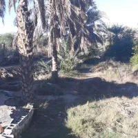 زمین میناب کردر