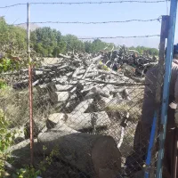 خریدار انواع چوب|خدمات باغبانی و درختکاری|الشتر, |دیوار