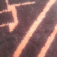 گمشده