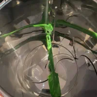 سبزی خرد کن|خردکن، آسیاب، غذاساز|گلبهار, شهر جدید گلبهار|دیوار