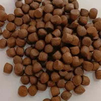نمایندگی خوراک ابزیان قزل الا کپور پرورش ماهی