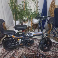 دوچرخه برقی دونفره تاشو( درحد آکبند)|دوچرخه، اسکیت، اسکوتر|اصفهان, شاه پسند|دیوار