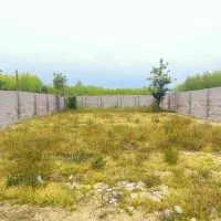 دو-قطعه-زمین-500متری-چسبیده-ب-هم-کاملا-یکسان