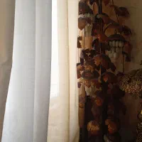 کنار سالنی وست خمره مسی