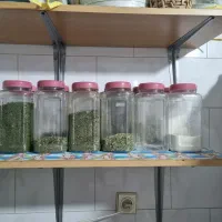 ۱۲عدد بانکه سالم