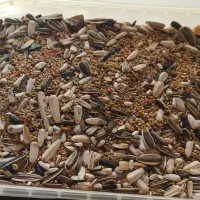 غذای پرنده یک کیلویی