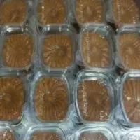 سفارشات پذیرفته میشود به تعداد بالا