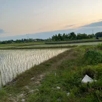 زمین-کشاورزی-5-هکتارمحدوده-کوچصفهان-سنگر-آناملک