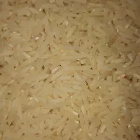 برنج هاشمی دره رود