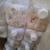 حدود ۵۰ گالن خالی عسل سالم بدون سوراخ