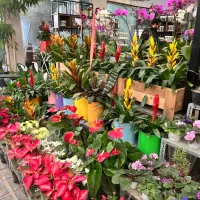 تولید کننده محتوا خلاق با تجربه ادیت ویدیو