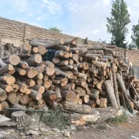 خرید و فروش چوب|خدمات باغبانی و درختکاری|جاجرود, |دیوار