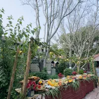باغ تفریحی با تمام امکانات دشت ارژن