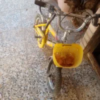 چرخ  شماره۱۲