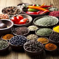 استخدام بازاریاب (ویزیتور) مواد غذایی