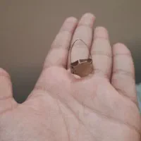 سه تار کیفیت خوب مناسب هنرجوی سطح متوسط|سازهای سنتی|بوشهر, |دیوار