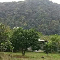 مشارکت درساخت|مشارکت در ساخت املاک|رامسر, |دیوار