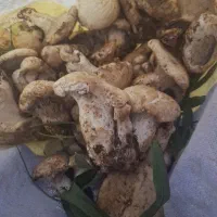 قارچ فروشی