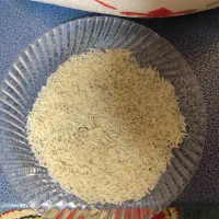 فروش عمده برنج ایرانی گیلان ارسال رایگان|خوردنی و آشامیدنی|تهران, جیحون|دیوار
