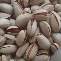 پسته اکبری تمیز