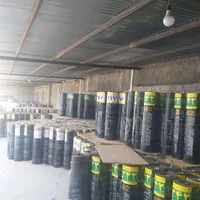 خانه ایزوگام نقدی و چکی