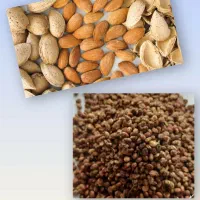 بادام تلخ و شیرین و سماق|خوردنی و آشامیدنی|تهران, جمال‌زاده|دیوار