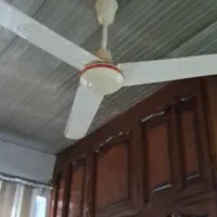 پنکه سقف سالمه