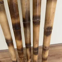 ۲۰ عدد نی (چوب) بامبو قطر ۵ سانت طول ۲ متر