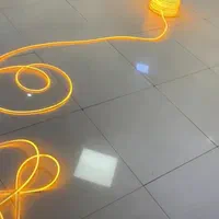 ریسه نئون فلکسی|ریسه و چراغ تزئینی|تهران, فردوسی|دیوار