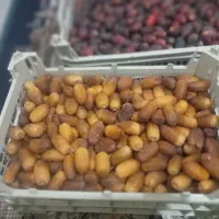 رطب چین امروز