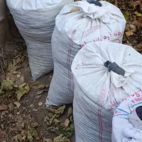 چند عدد گونی کود|گل و گیاه طبیعی|کرمان, |دیوار