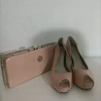 کیف و کفش ست مجلسی
