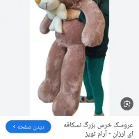 خرس خیلی بزرک
