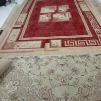 فرش ۹ متری|فرش|گرگان, |دیوار