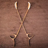 آموزش خصوصی سنتور