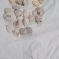 سلام دوستان چند عدد سنگ به فروش|جواهرات|پائین جام, |دیوار