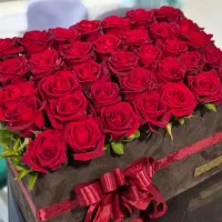 گل زیبا|گل و گیاه طبیعی|مرند, |دیوار