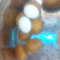 ساندویچ سیب زمینی و تخم مرغ ویژه