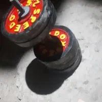 دنبل