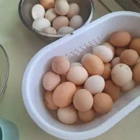 تخم مرغ محلی فروشی