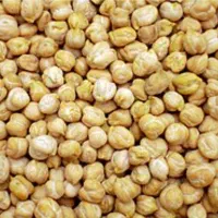 فروش نخود درجه یک دانه درشت