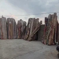 قالیشویی ستاره شهر بامدیریت احسانی و رحمانی