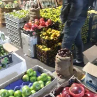 میوه استوایی توت فرنگی میوهای چهار فصل تالار مجالس|خوردنی و آشامیدنی|تهران, میدان میوه و ترهبار مرکزی|دیوار