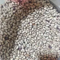 فروش انواع حبوبات