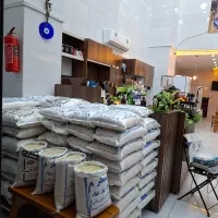 برنج کامفیروزی به شرط