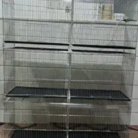 قفس ۸خان ۸خوان بازاری درحد نو