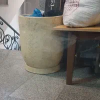 گلدان|گل و گیاه طبیعی|تهران, مخصوص|دیوار