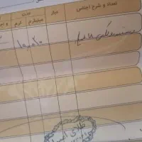 دستبند زیبای رولکس فقط با 8 درصد|جواهرات|شیراز, قصرالدشت|دیوار